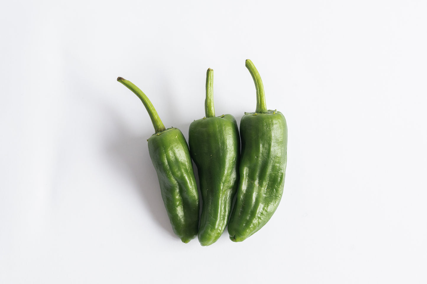 Standard Pepper