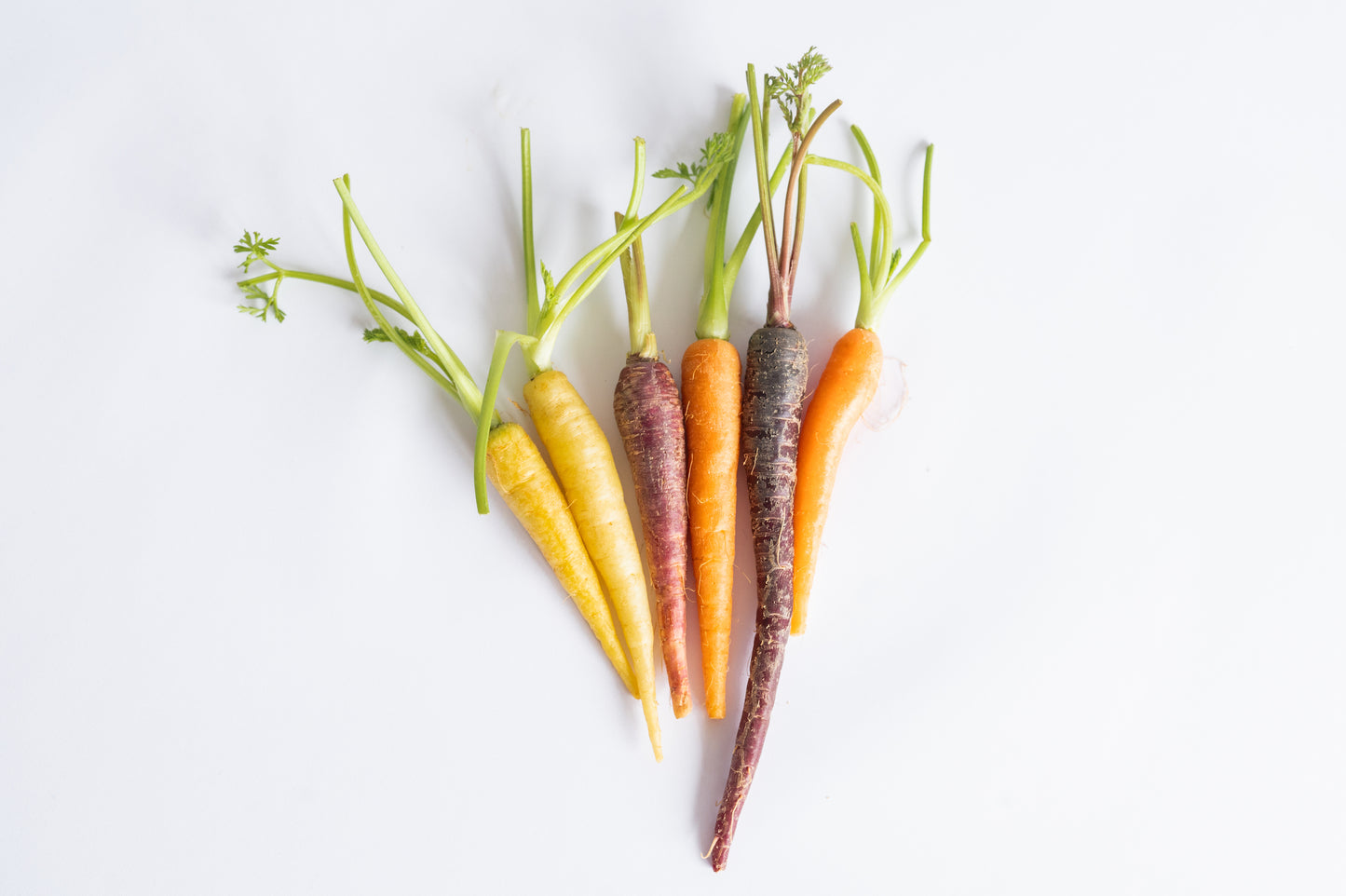 Mini Carrots