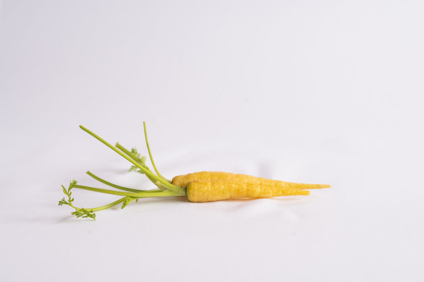 Mini Carrots