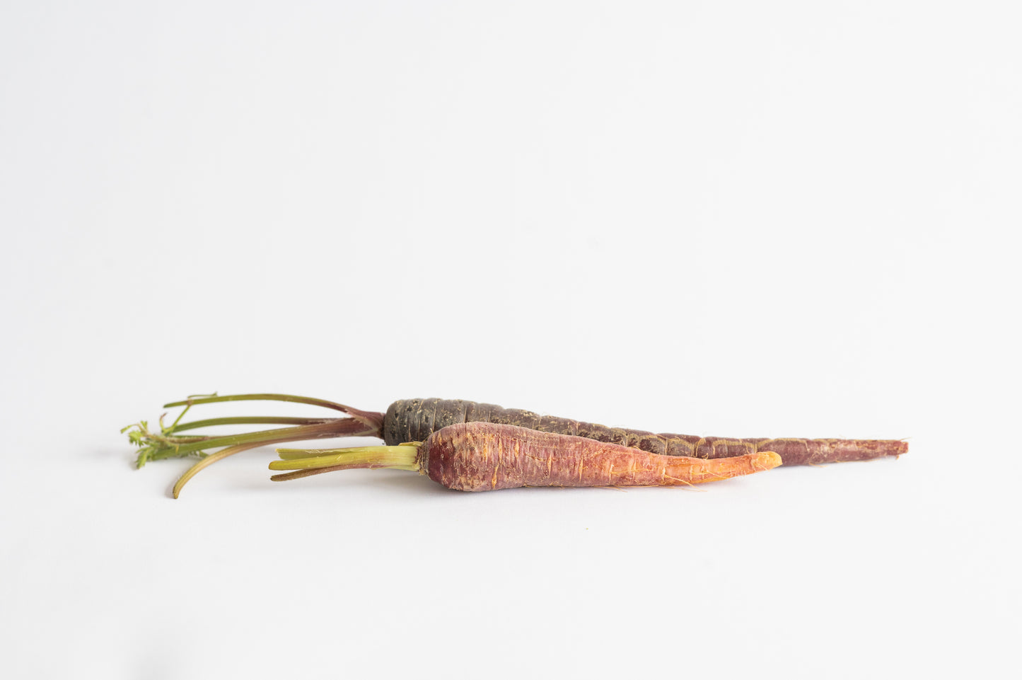 Mini Carrots