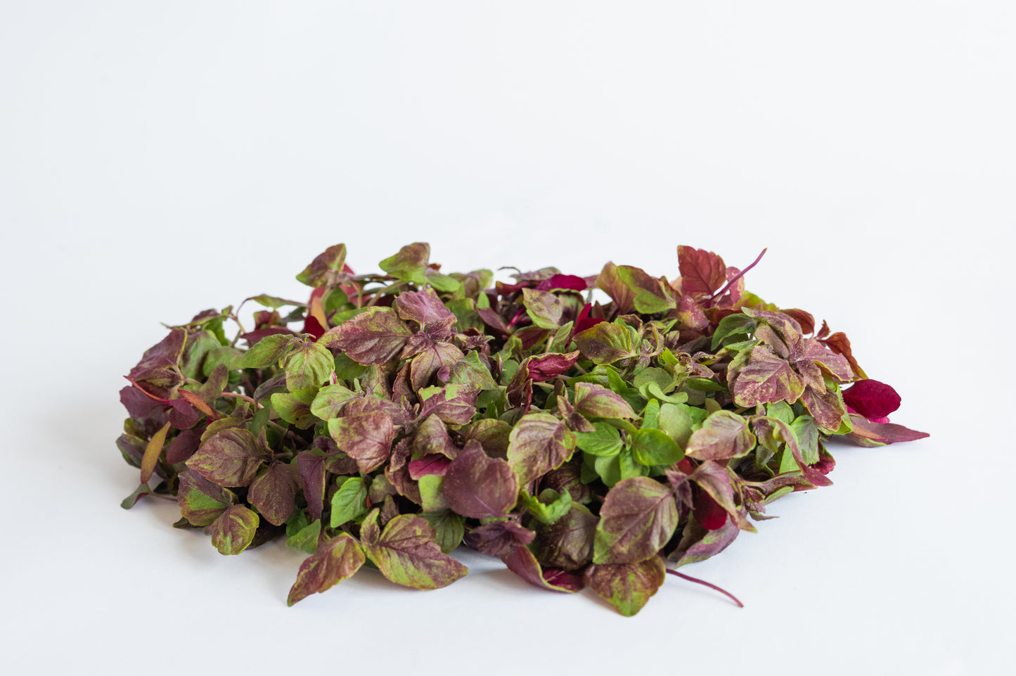 Micro Vegetables