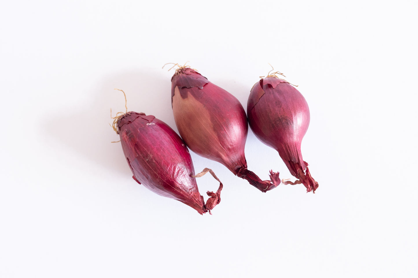 Mini Purple Onion