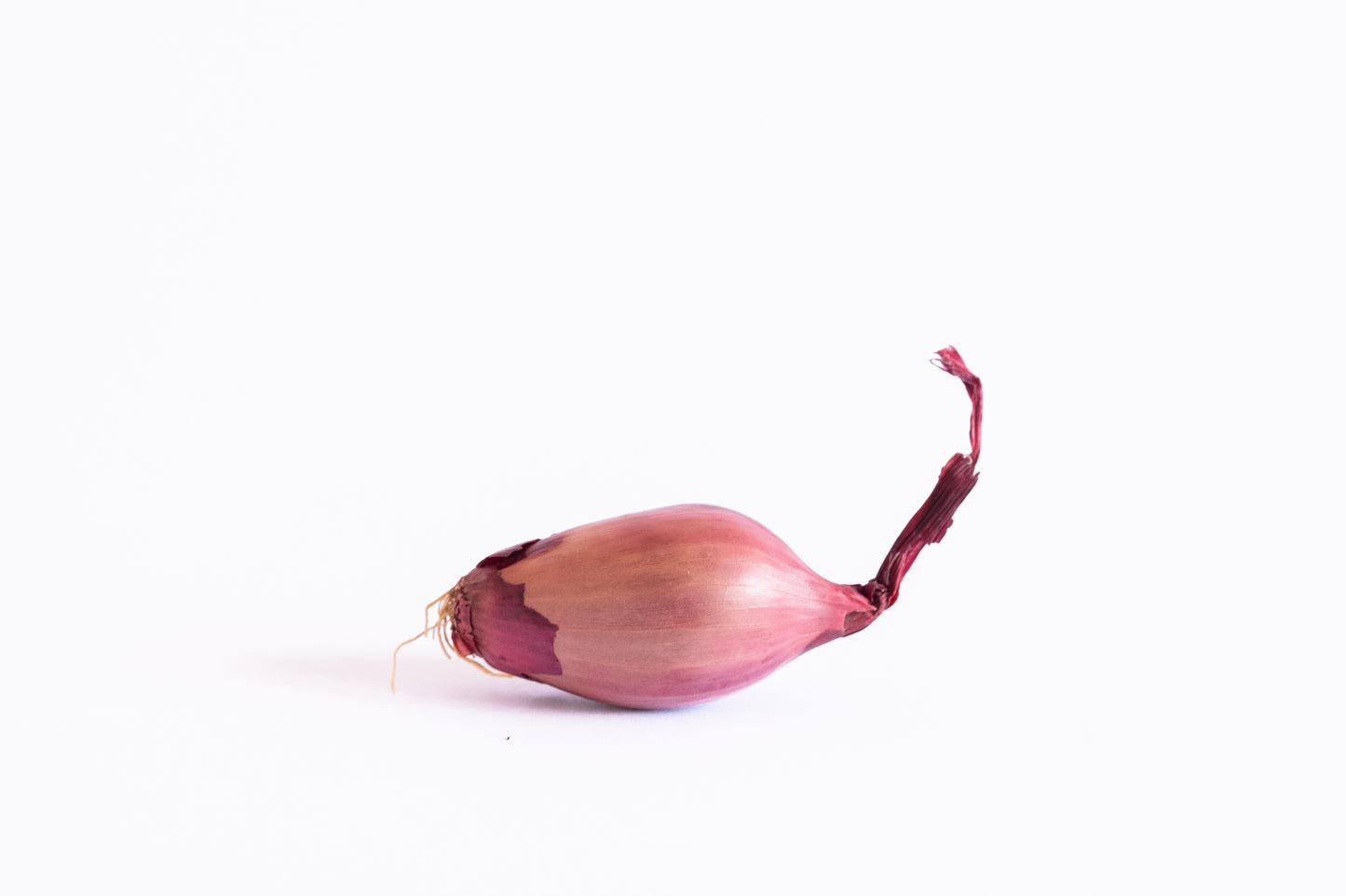 Mini Purple Onion