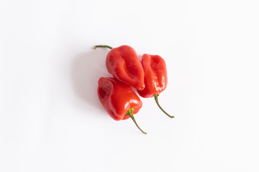 Pimento Habanero