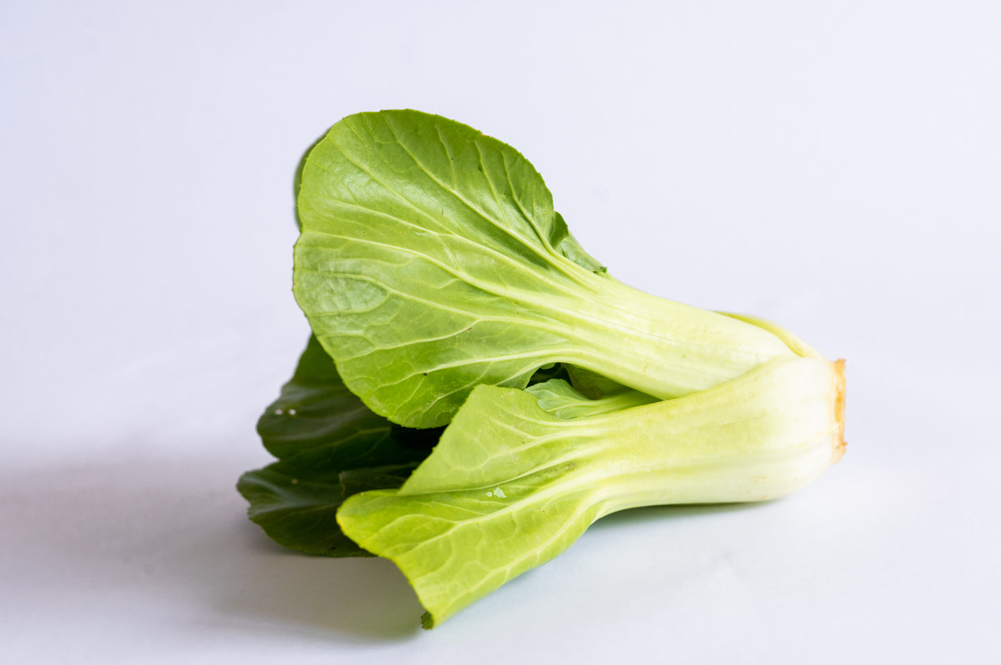 Pak Choi