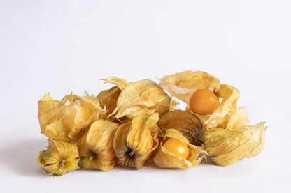 Physalis